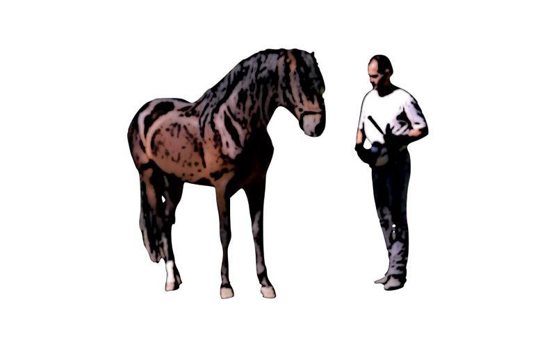 Bruno Pedro et un cheval